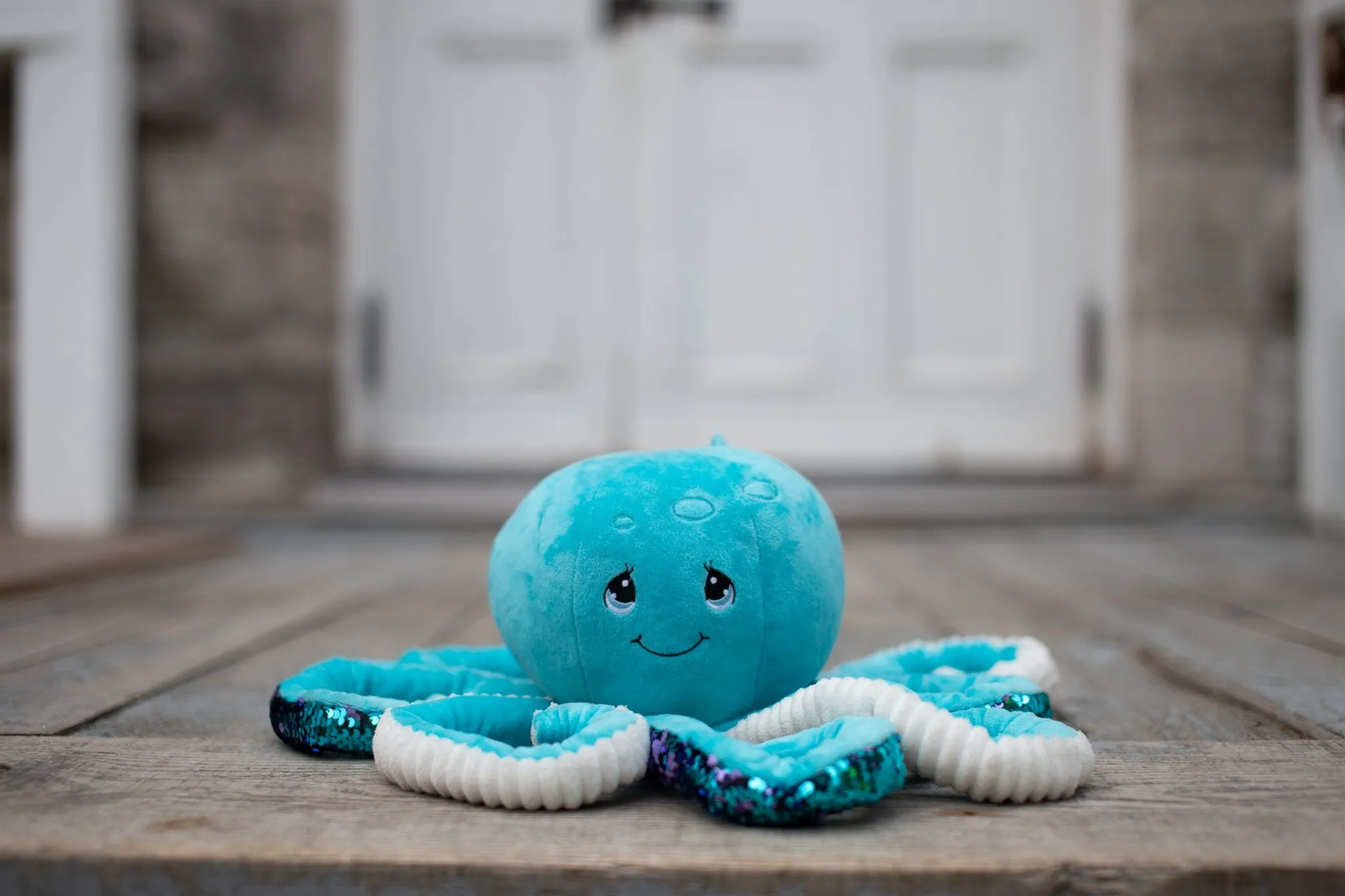 89SE086 - Weighted Octopus