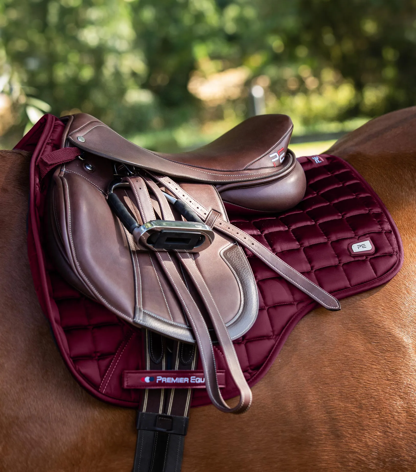 Alberta CC Satin GP/Jump Square Wine
