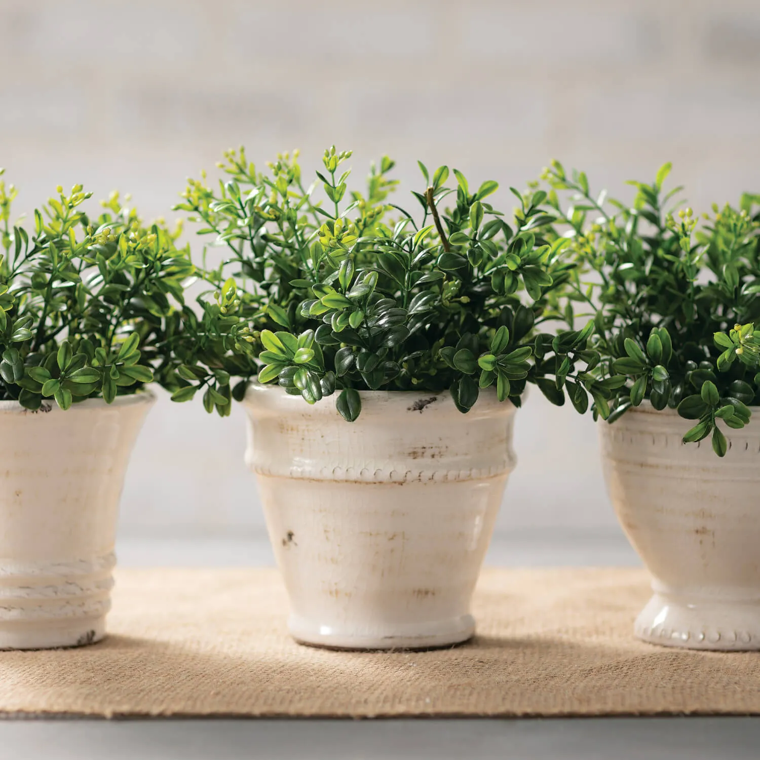 Farmhouse Pots - Set of 3