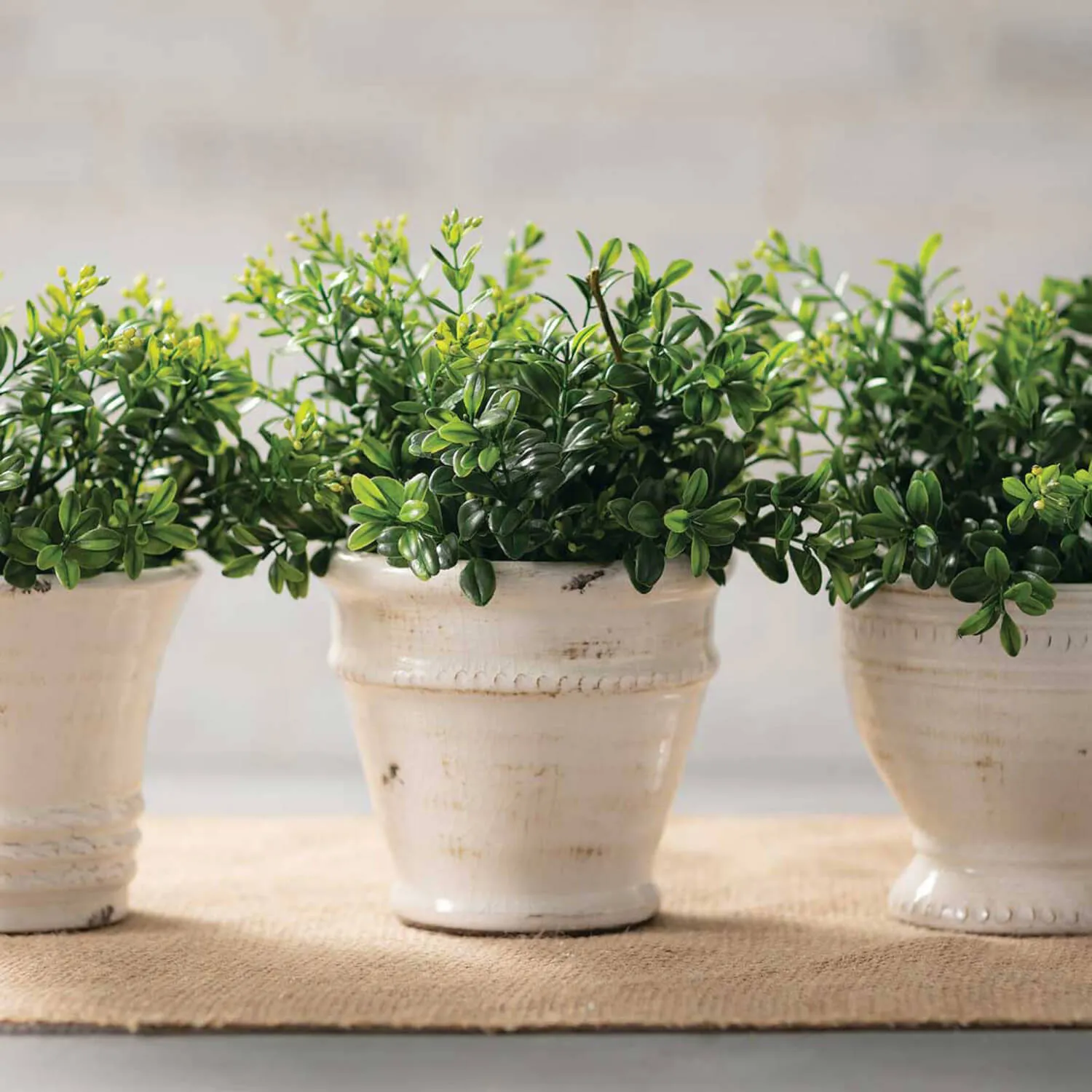Farmhouse Pots - Set of 3