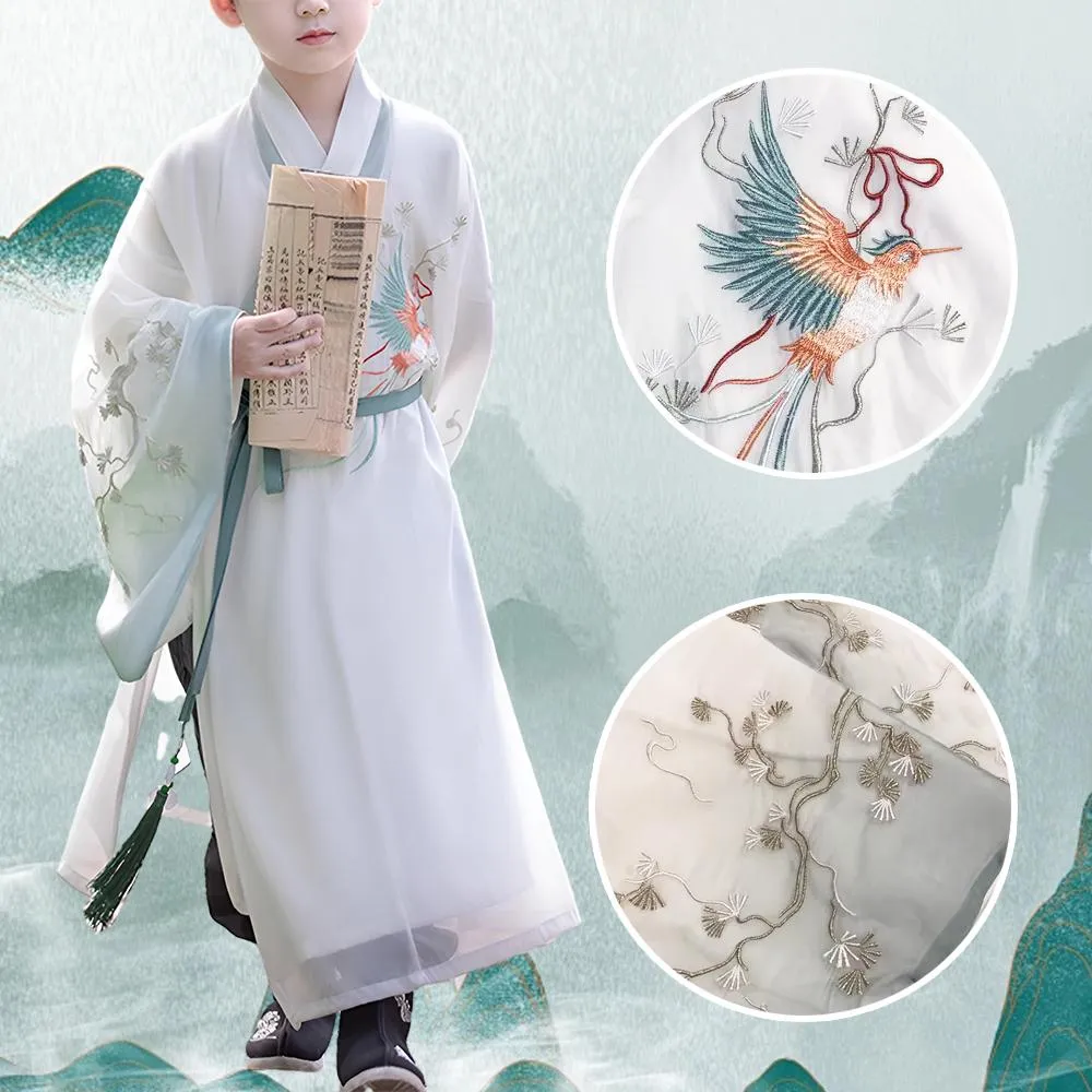 Serene Scholar Children's Hanfu - Traditional Cultural Clothing