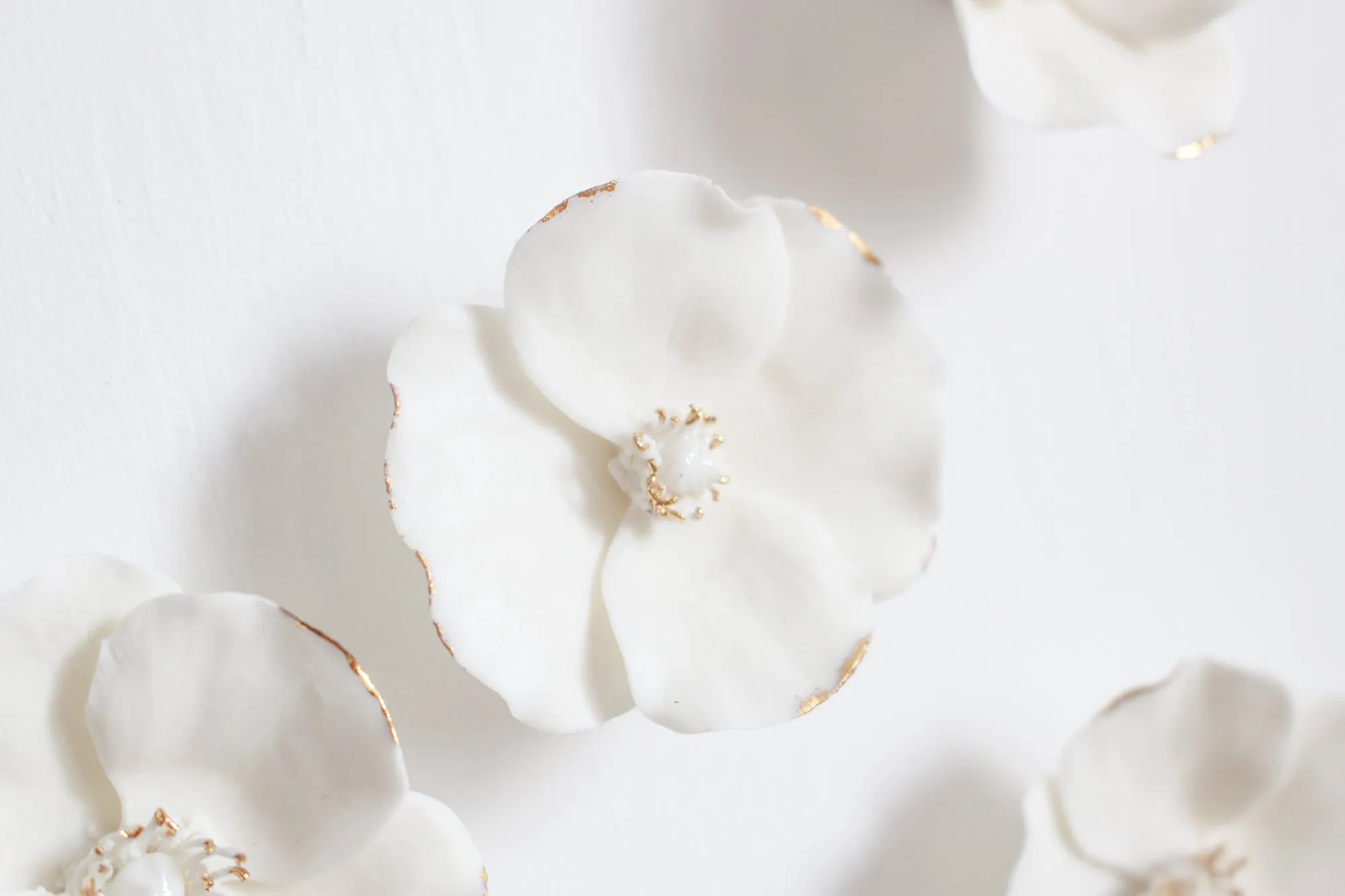 White & Gold Poppies