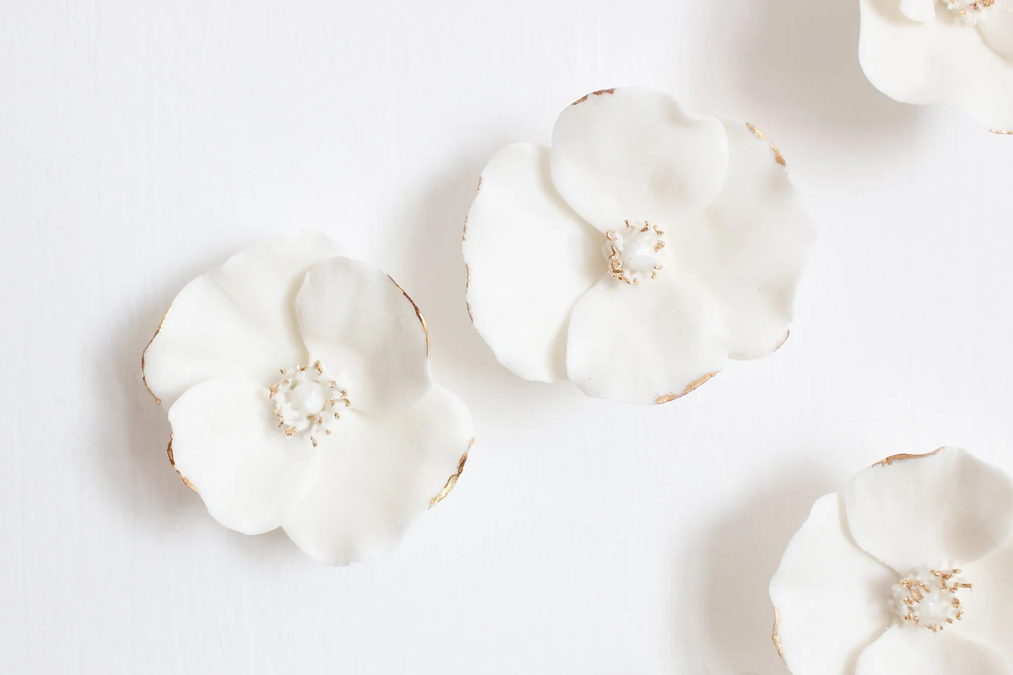 White & Gold Poppies